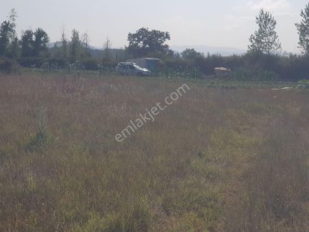 Kazdağları Bağlı Kelepir Tarla