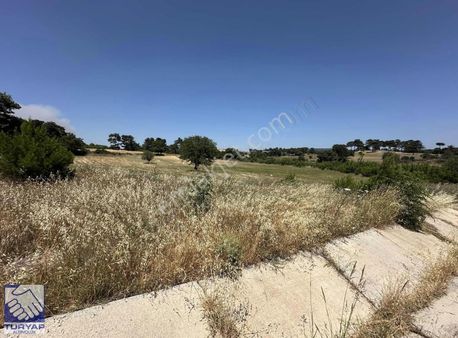 Ayvacık Fatih Mahallesin'de İmarlı 1.027m2 Satılık Fırsat Arsa