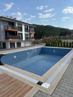 Söke Ağaçlı Yolu Üstünde Oksijeni Bol Bölgede