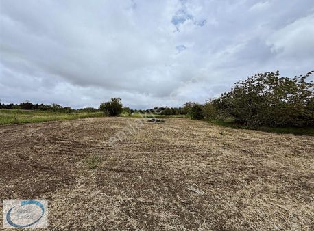 Silivri Fenerköy'de Yola Ve Köye Yakın Tek Tapu 1326 M2