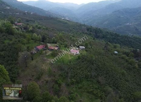 İlerin Gayrimenkul'den Satılık Ev Ve Arsa