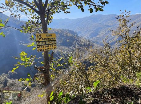İlerin Gayrimenkul`den Satılık Fındıklık