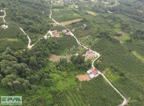 Epa Uğur'dan Düzce Merkez Dağdibinde Satılık 10.850 M² Arsa
