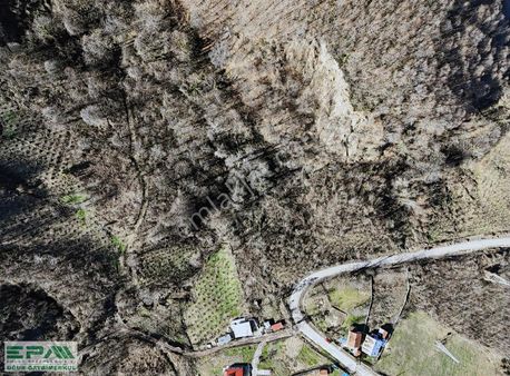 | Epa Uğur Düzce | Şok M2 Fiyatlı Tarlalar