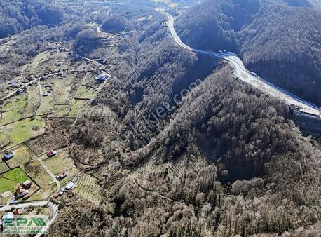 | Epa Uğur Düzce | Darıyerihasanbey Köyünde 2.5 Dönüm Fındıklık