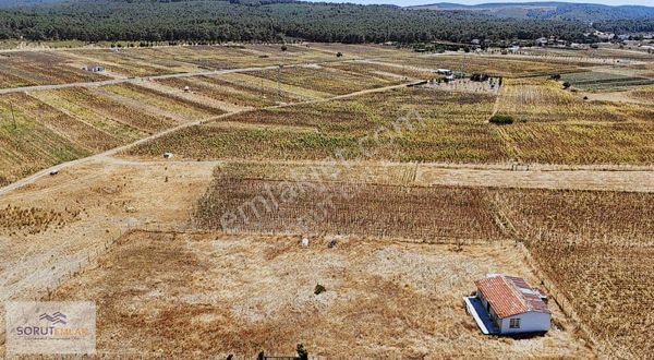 Göl Manzaralı Satılık 1731 M2 Arazi