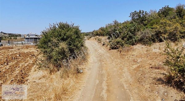 Sahil'e 400 Metre Resmi Yola Cephe Satılık 5.200 M2 Arazi