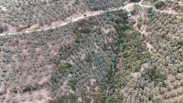 Antant Emlaktan Gemlik Körfezde