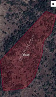 Muğla Da Kaçırılmayacak Fırsat Satılık Tarla