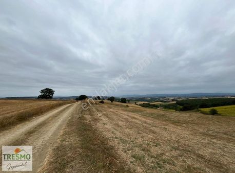 Çavuşoğlu Köyü Yakını Yollu 3.808 M² Satılık Tarla