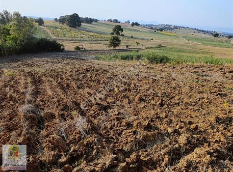 Ortaca'da Doğa İçerisinde,köye Yakın, Müstakil, Manzaralı Arazi