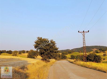 Nakit Yada Eskişehir'den Daire Takaslı 27 Dönüm Çiflik Arazisi