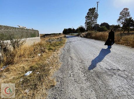 Akdoğan İnş Satılık231m2 Asfalta Cep Arsa Vasfında İmarlı Tarla