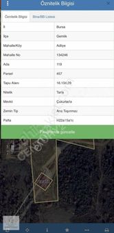 Gemlik Adliye'de Satılık 16.000 M2 Tarla