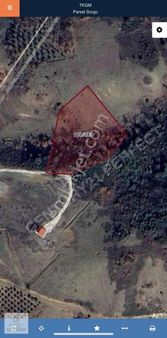 Gemlik Adliye'de Satılık 5800 M2 Tarla