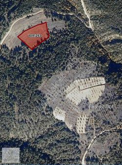 Sakarya Taraklı Hacı Yakyp'ta Kelepir Satılık Tarla