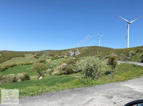 Balıkesir Kepsut Satılık 4.000m2 Tarla *80m Asfalt Yol Cepheli*