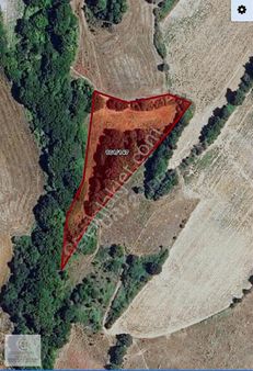 Kırklareli / Kofçaz / Yukarı Kanara'da 4.706,62 M2 Satılık Tarla