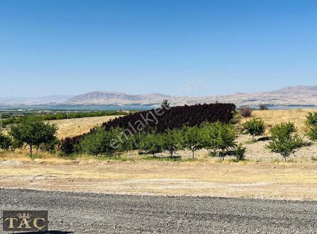 Taç Gayrimenkulden Yarımcahanda Araç Takaslı Doğal Yaşam Alanı