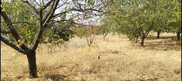 İznik Aydınlar Mahallesinde Kaçırılmayacak Fırsat