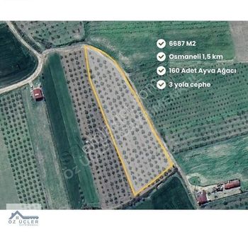 Satılık Fırsat Tarla