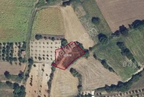 Bursa Yenişehir Günece Köyünde Satılık 1.112 M2 Hobi Bahçesi