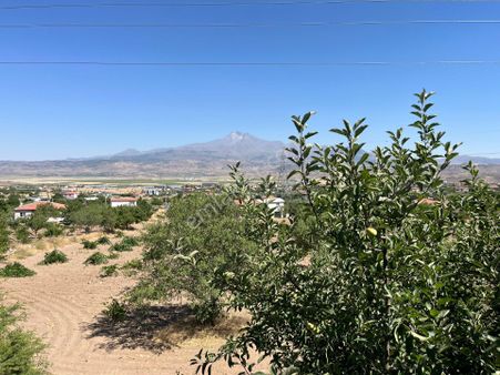 Marvel Kayseri // İncesu Garipçe Bakımlı Bağ