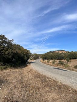 Çanakkale Biga Paşacayı Köyünde 973 M2 Asfalta Cephe Hobi Bahçesi