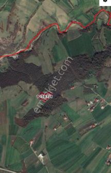 Kamalı'da Yatırımlık Hisseli Tarla