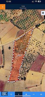 B Yenişehir Kızılhisar Mh Satılık Meyve Bahçesi