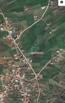 Kamalı'da Yatırımlık Hisseli Tarla