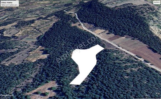 Bursa Keles Issızören Köyünde Yola Cephe 9.110 M2 Tarla