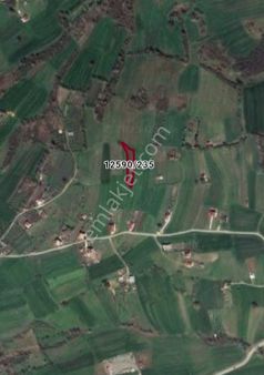 Kamalı'da Yatırımlık Hisseli Tarla