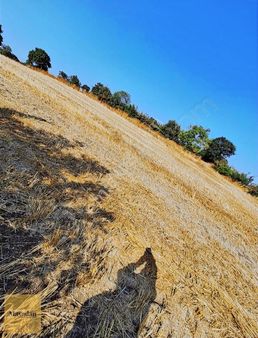 Maya Dan Gayrimenkul Den Hacıvelioba Mah. 4875m2 Satılık Tarla