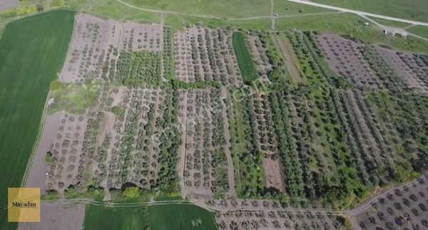 Mayadan Gayrimenkul'den Gönen B 2485 M2 Satılık Bağ