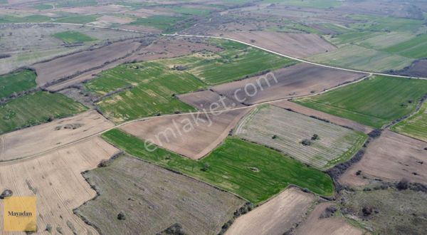 Mayadan Krklareli/yoğuntaş'ta Büyük Tarım Arazisi Fırsatı
