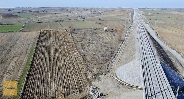 Mayadan Edirne Havsa Kuzucu Köyü Satılık Kiraz Bahçesi