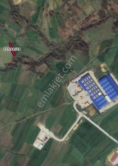 Kamalı'da Yatırımlık Hisseli Tarla