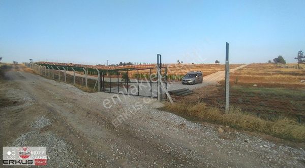 Fırsat Hobi Bahçesi