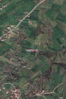 Kamalı'da Yatırımlık Hisseli Tarla