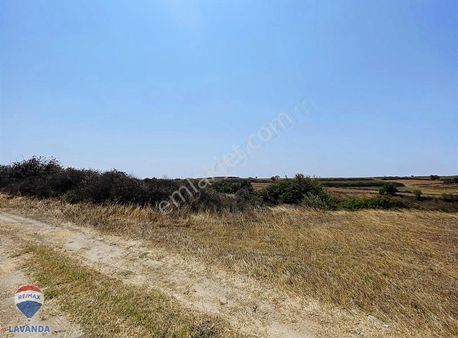Tekirdağ Saray Kurtdere'de Satılık Hisse