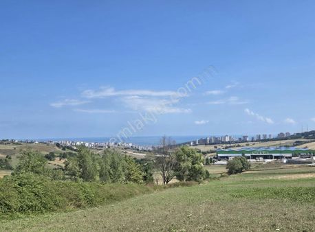 Erlife'den Samsun/kamalıda Satılık Hisse...