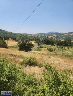 Balıkesir Sındırgı'da 1.185 M2 Köye Yakın Merkezi Fırsat Arazi !