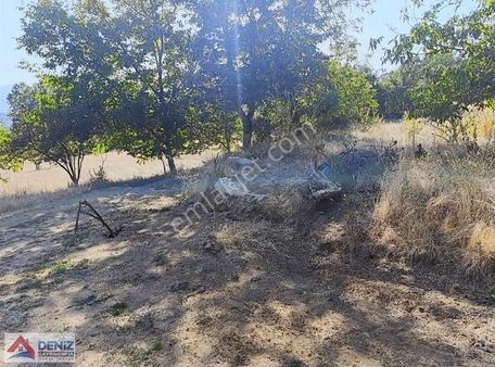 Küçükdeliller De Üç Cephesi Açık Satılık Arazi