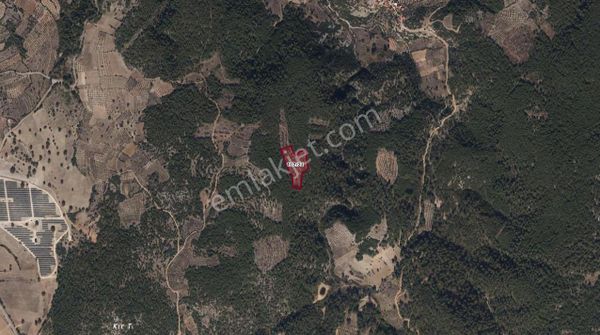 Fadılca Mah Yatırımlık Fırsat Tarla