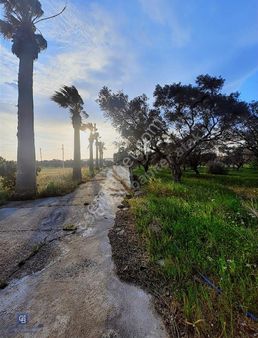 Torbalı Gazi Mustafa Kemal De Cadde Üzeri 3495m2 Satılık Tarla
