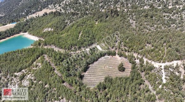 Rw Tersis'den Çamlıyayla Körmenlikte Satılık Bahçe