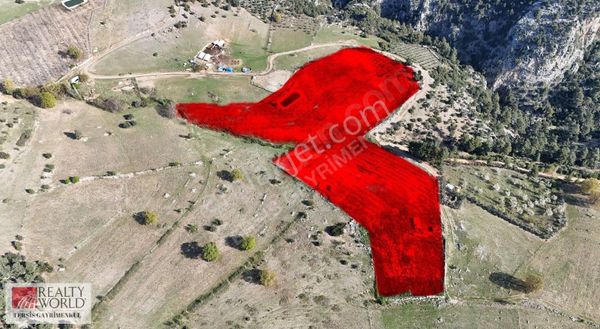 Rw Tersis'den Çamlıyayla Fakılarda Satılık Bahçe