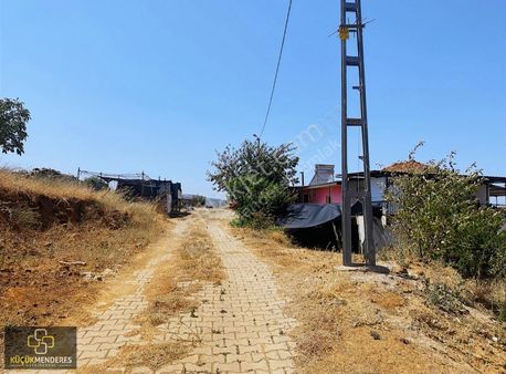 Küçük Menderes'ten İğdeli Mh. Satılık İncir-ceviz-zeytin Bahçesi