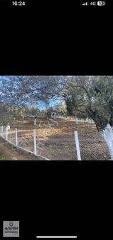 Kaçmaz Toprak Yatırımı Tek Tapu Bahçe